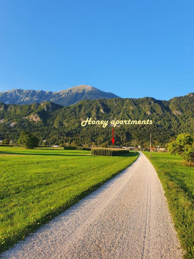 Zirovnica Honey Apartments מראה חיצוני תמונה